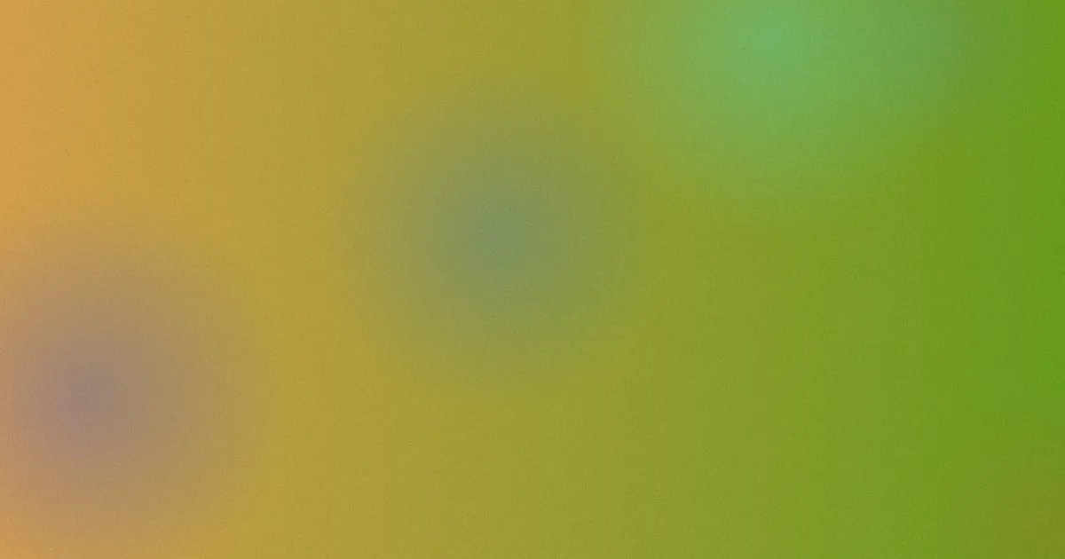 寄居蟹吃什么？老玩家喂食清单